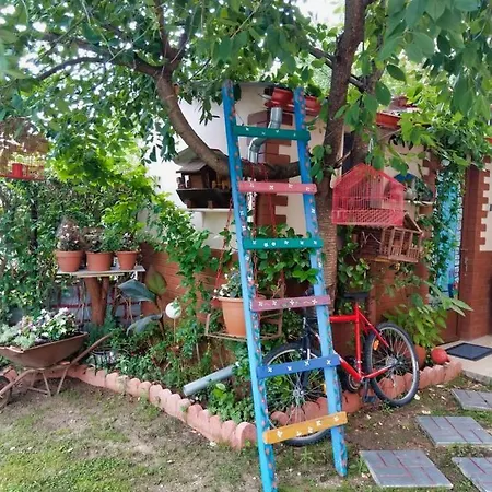 Mama's Cozy 1 Apartament *